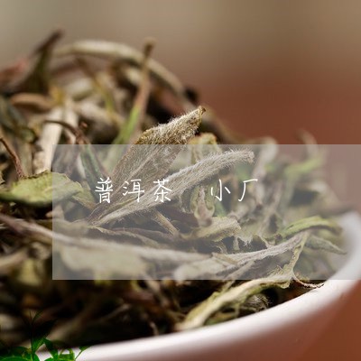 普洱茶 小厂/2023042887573